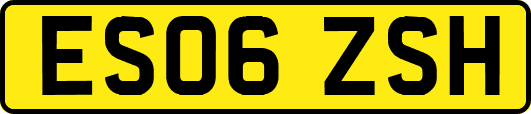 ES06ZSH