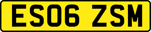 ES06ZSM