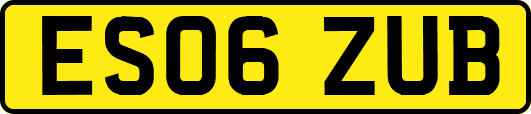 ES06ZUB