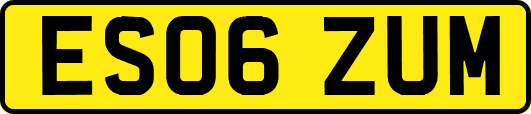 ES06ZUM