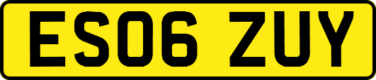ES06ZUY