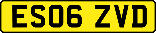 ES06ZVD
