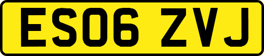 ES06ZVJ