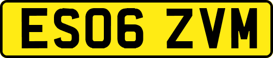 ES06ZVM