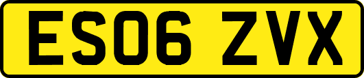 ES06ZVX
