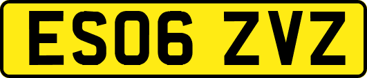 ES06ZVZ