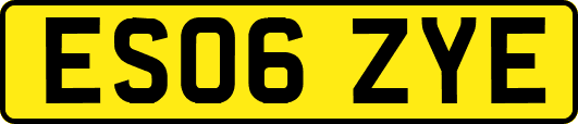 ES06ZYE