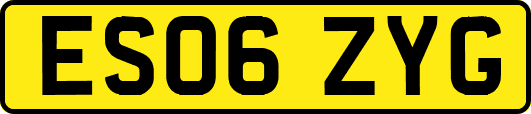 ES06ZYG