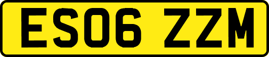 ES06ZZM