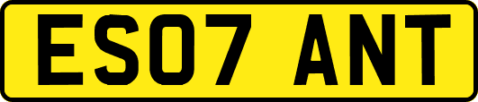 ES07ANT
