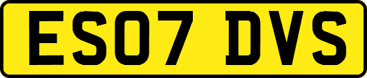 ES07DVS