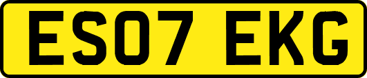 ES07EKG