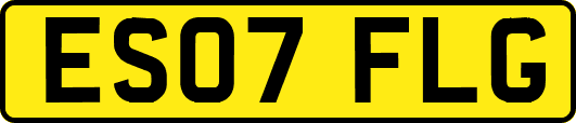 ES07FLG