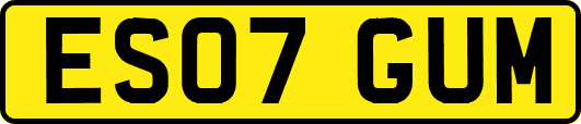 ES07GUM