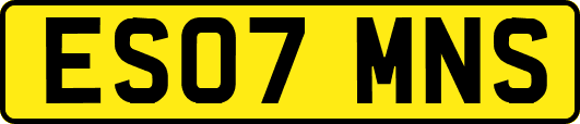 ES07MNS