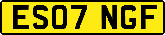 ES07NGF
