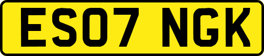 ES07NGK