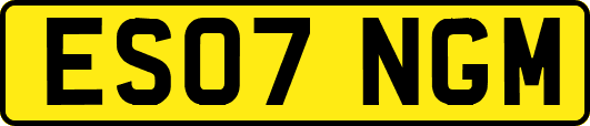 ES07NGM