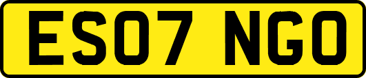 ES07NGO