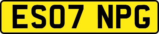 ES07NPG