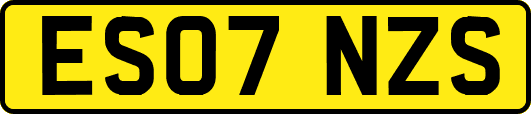 ES07NZS