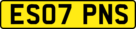 ES07PNS