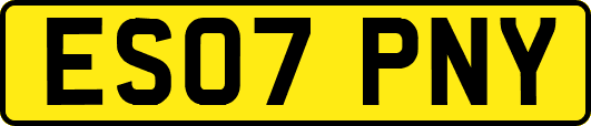ES07PNY