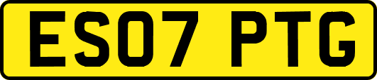 ES07PTG