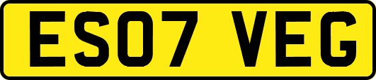 ES07VEG