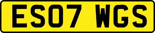 ES07WGS