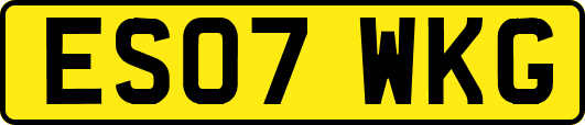 ES07WKG