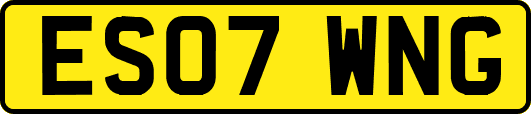ES07WNG