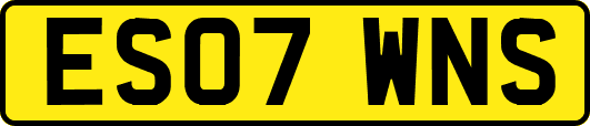ES07WNS