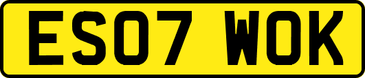 ES07WOK