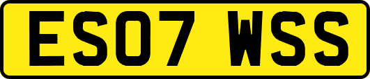 ES07WSS