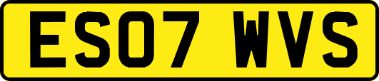 ES07WVS