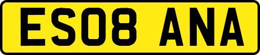 ES08ANA