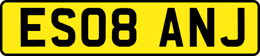 ES08ANJ