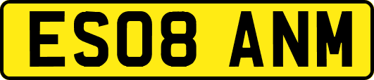 ES08ANM