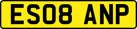 ES08ANP
