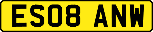 ES08ANW