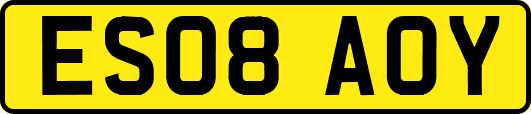 ES08AOY