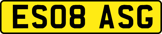 ES08ASG