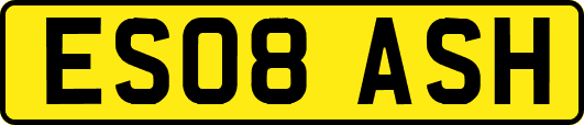 ES08ASH