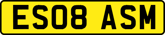 ES08ASM