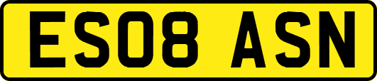 ES08ASN