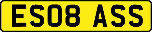 ES08ASS