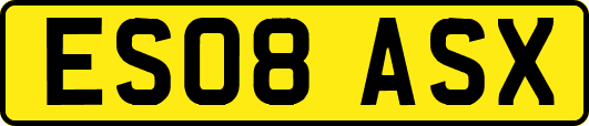 ES08ASX