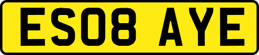ES08AYE