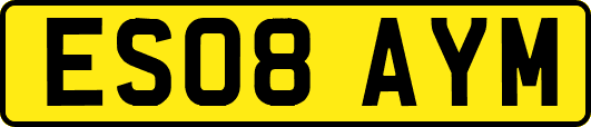 ES08AYM